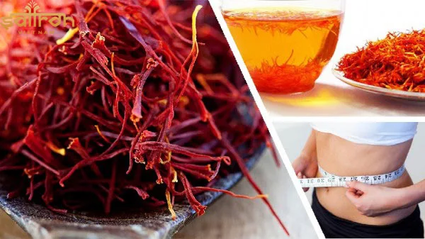 Saffron có tác dụng tiêu hao mỡ thừa trong cơ thể